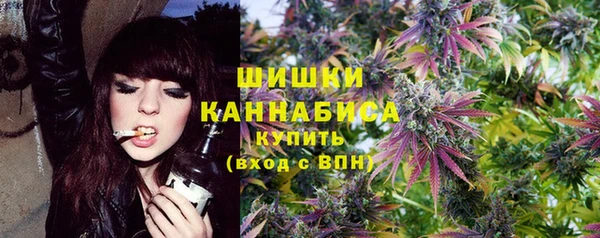 индика Заводоуковск