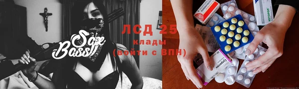 индика Заводоуковск