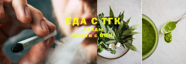 индика Заводоуковск