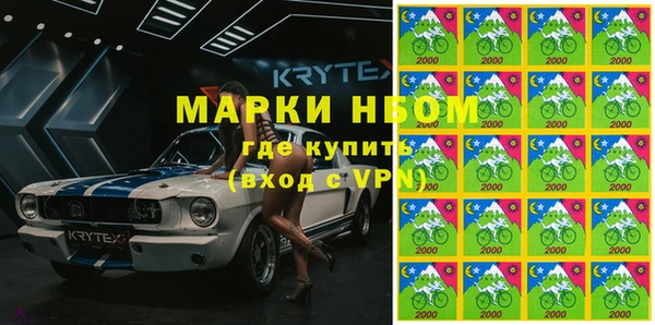 индика Заводоуковск