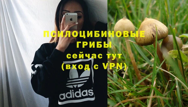 индика Заводоуковск