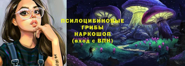 индика Заводоуковск