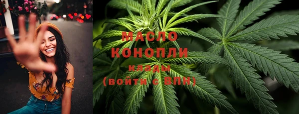 индика Заводоуковск