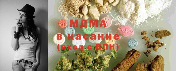 индика Заводоуковск