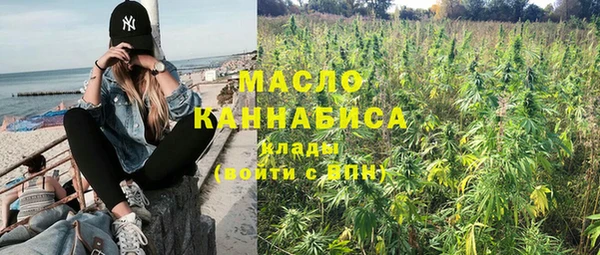 индика Заводоуковск