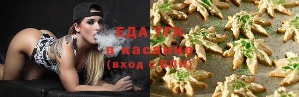 индика Заводоуковск