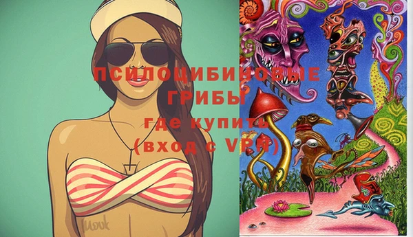 индика Заводоуковск