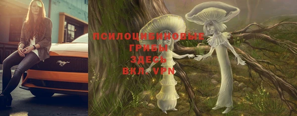 индика Заводоуковск