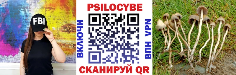 мега как войти  Кирсанов  Галлюциногенные грибы Psilocybine cubensis  купить наркоту 