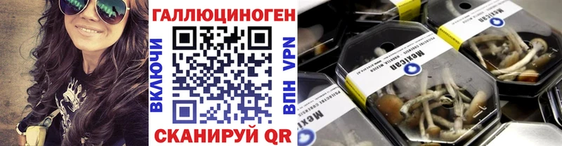Галлюциногенные грибы MAGIC MUSHROOMS Кирсанов